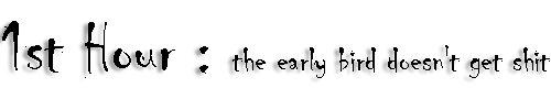 1stindex.jpg (8695 bytes)