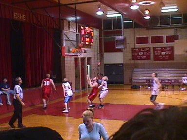 basket.jpg (26329 bytes)